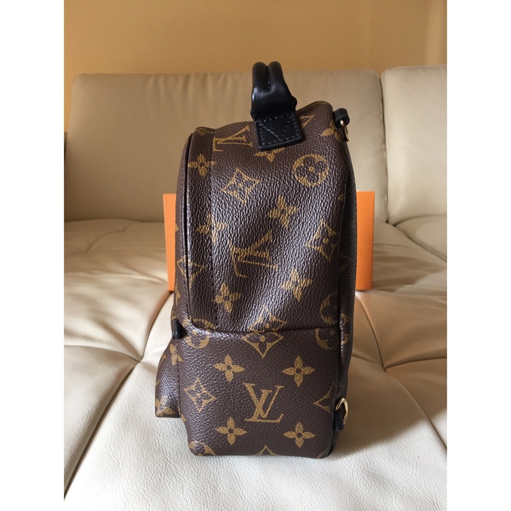 Louis Vuitton Palm Springs Mini. Just ordered 4/20 - Picture 3 of 8